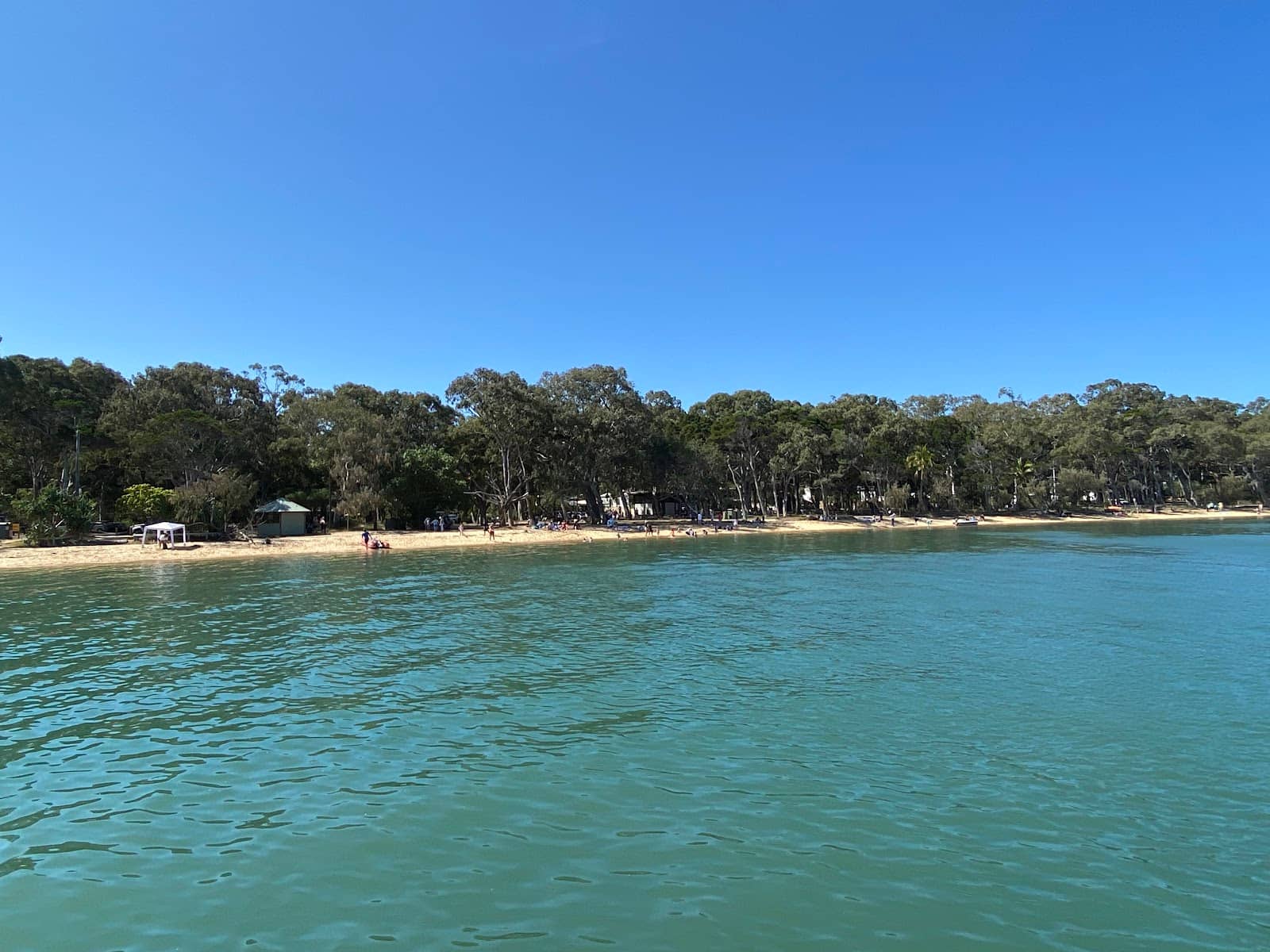 Dog-Friendly Beach