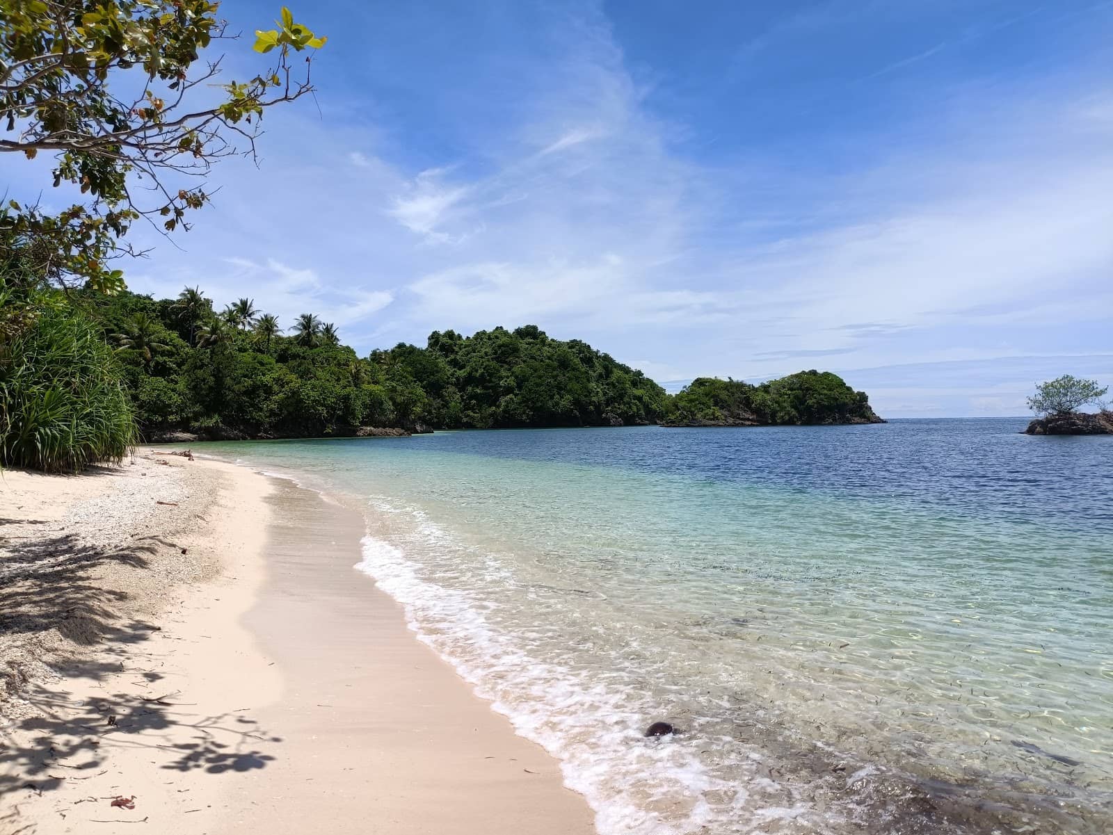 Resident Marine Life