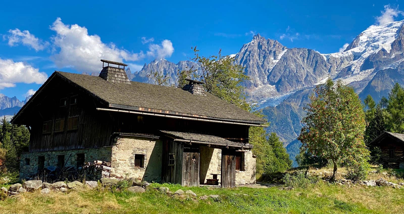 Peaceful Mountain Pasture