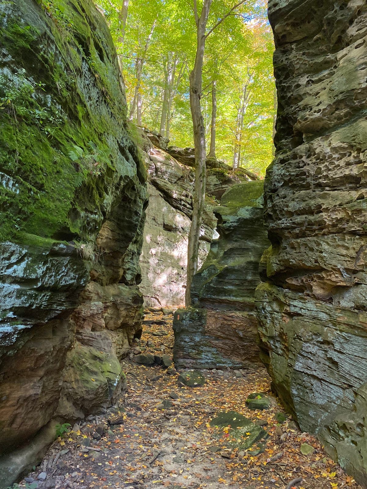 Whipp's Ledges - Image 1