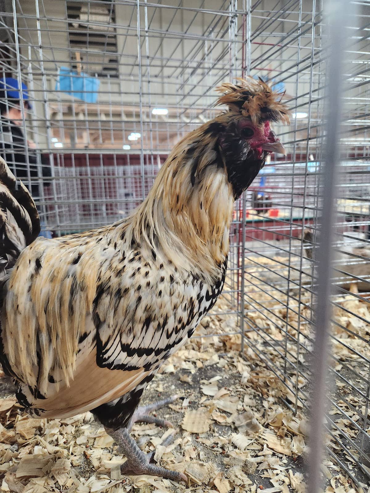 Farmers Market Delights