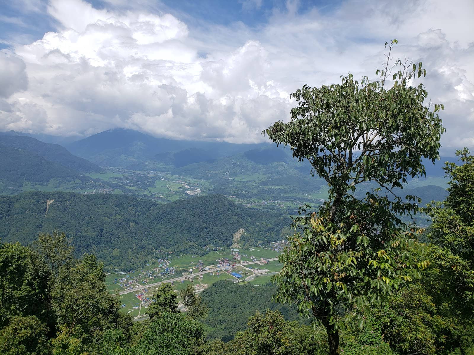 Vertical photo