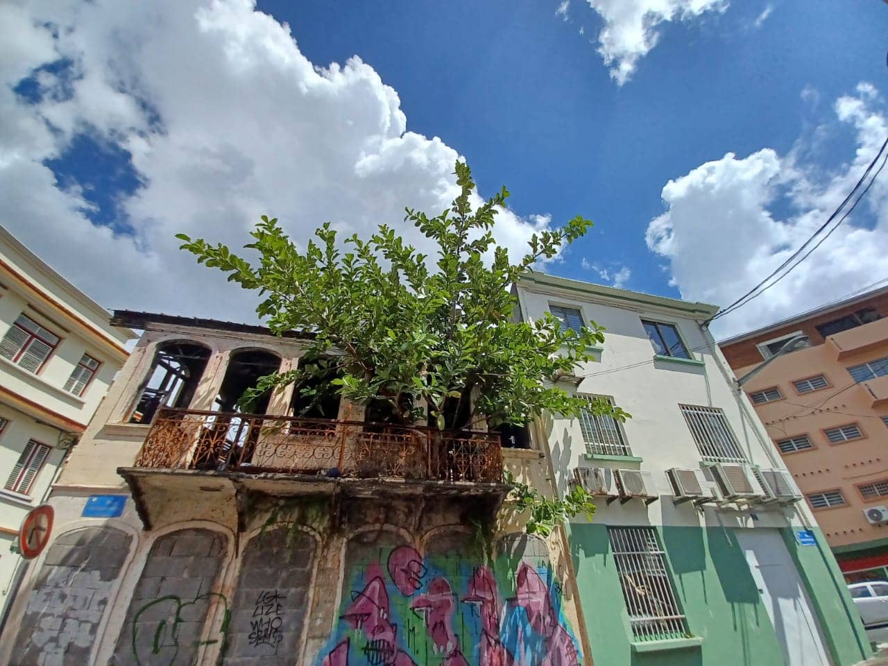 Vertical photo