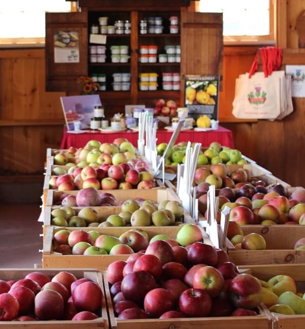Scott Farm Orchard - Image 1