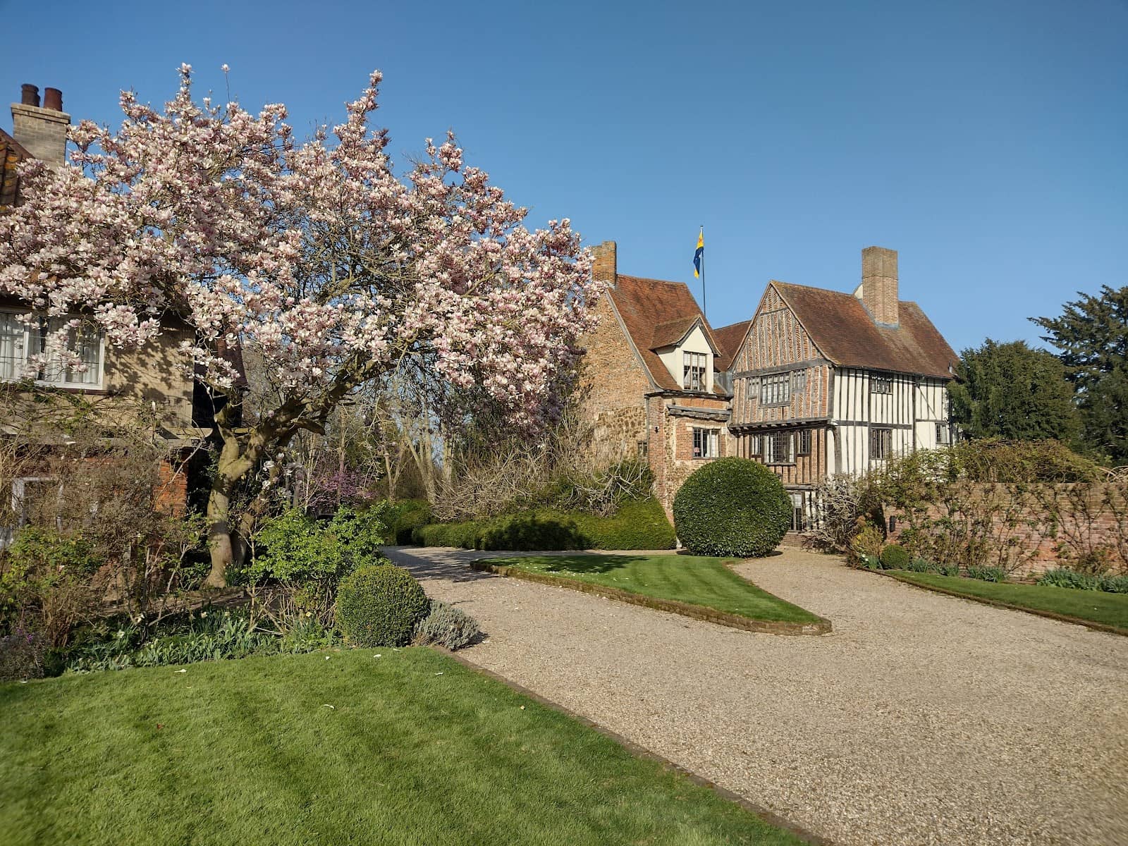 Butterfly and Bee Meadow