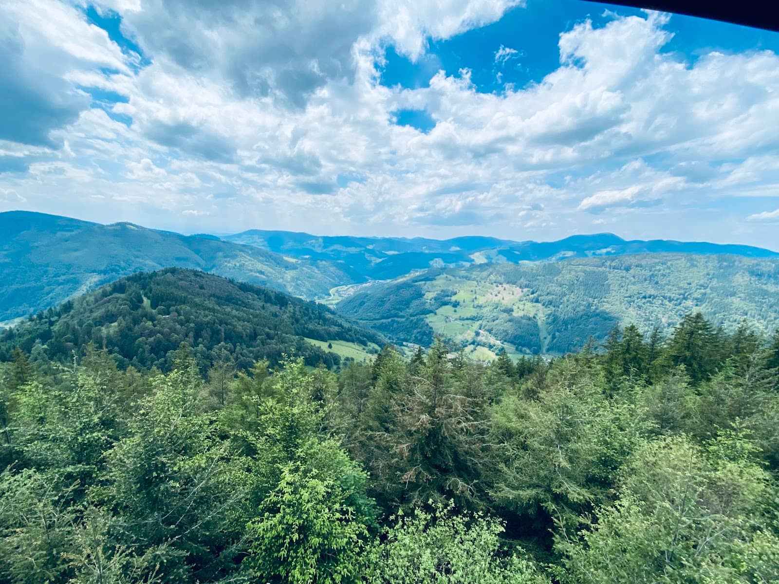 Vertical photo