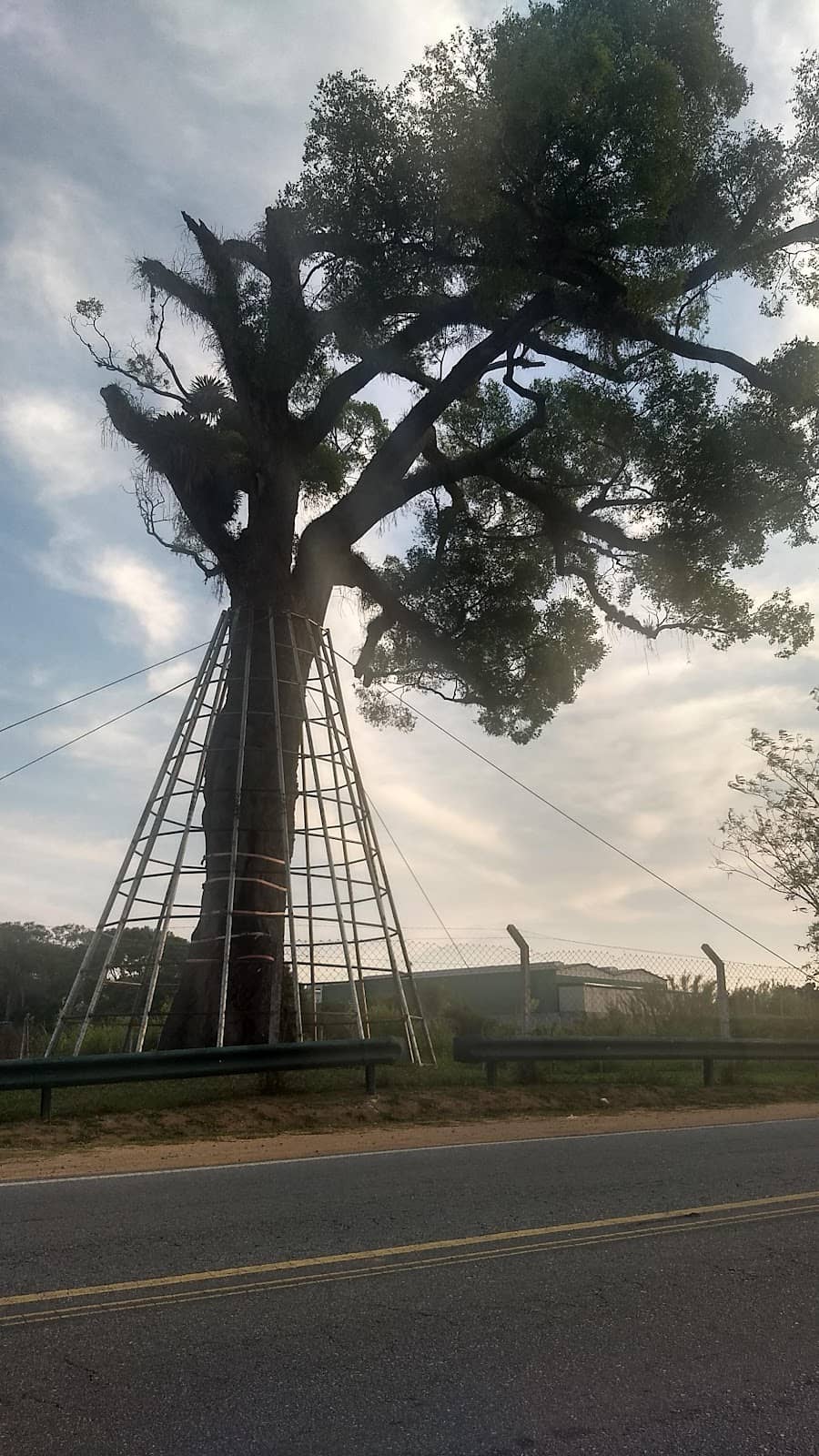 Padaria Cheiro de Amor