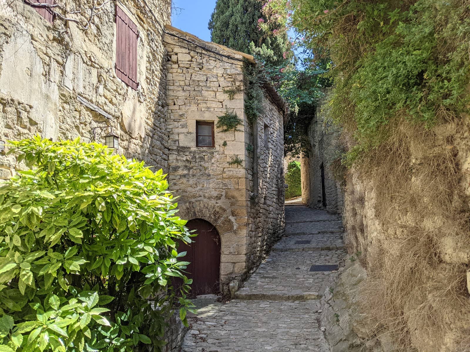 Vertical photo