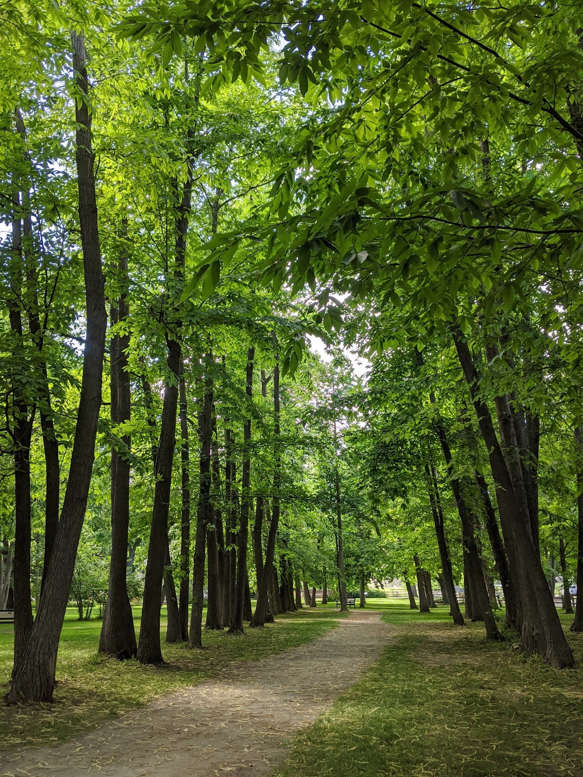 Gellatly Nut Farm Regional Park - Image 1