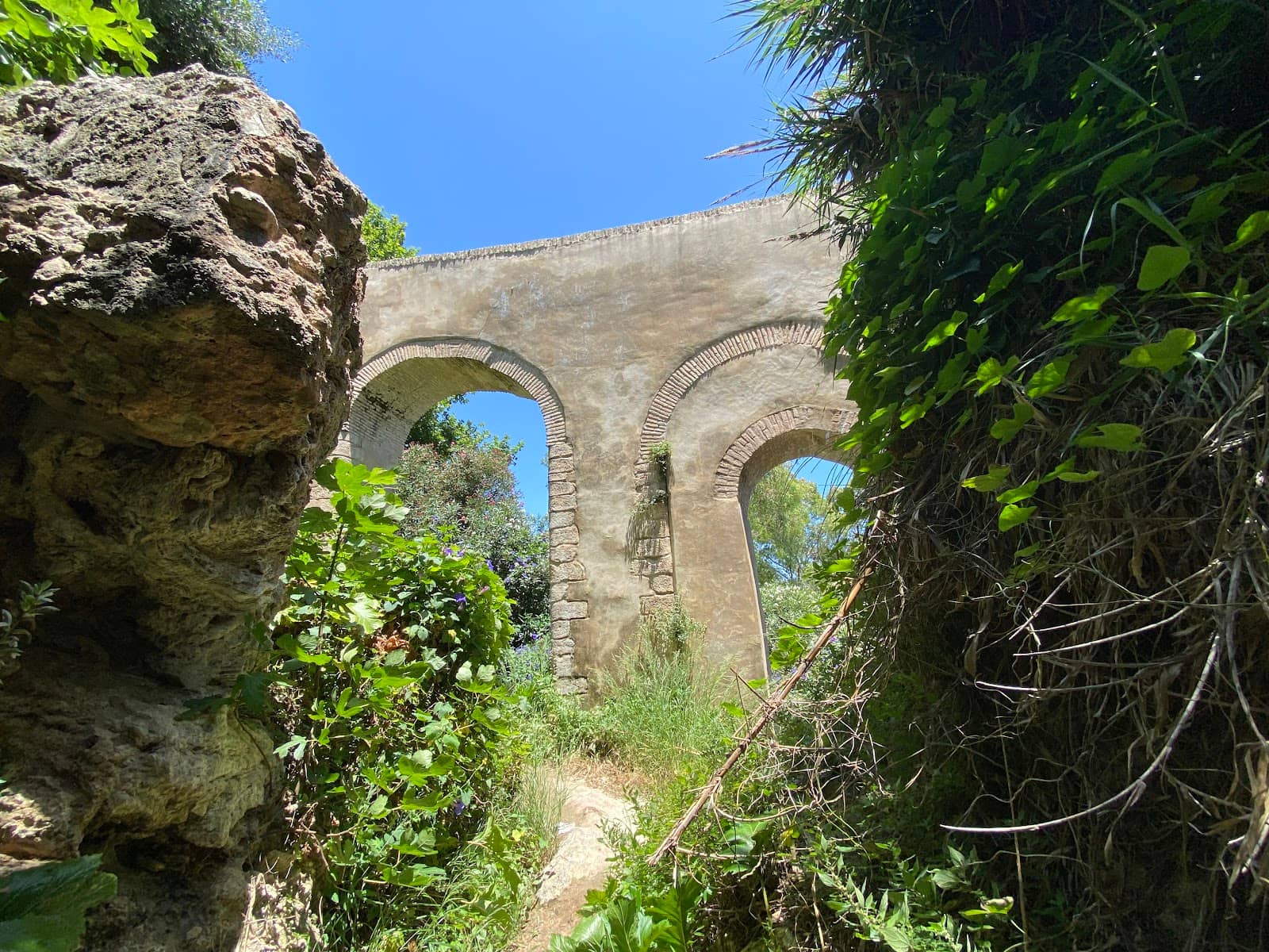 Scenic Walking Paths