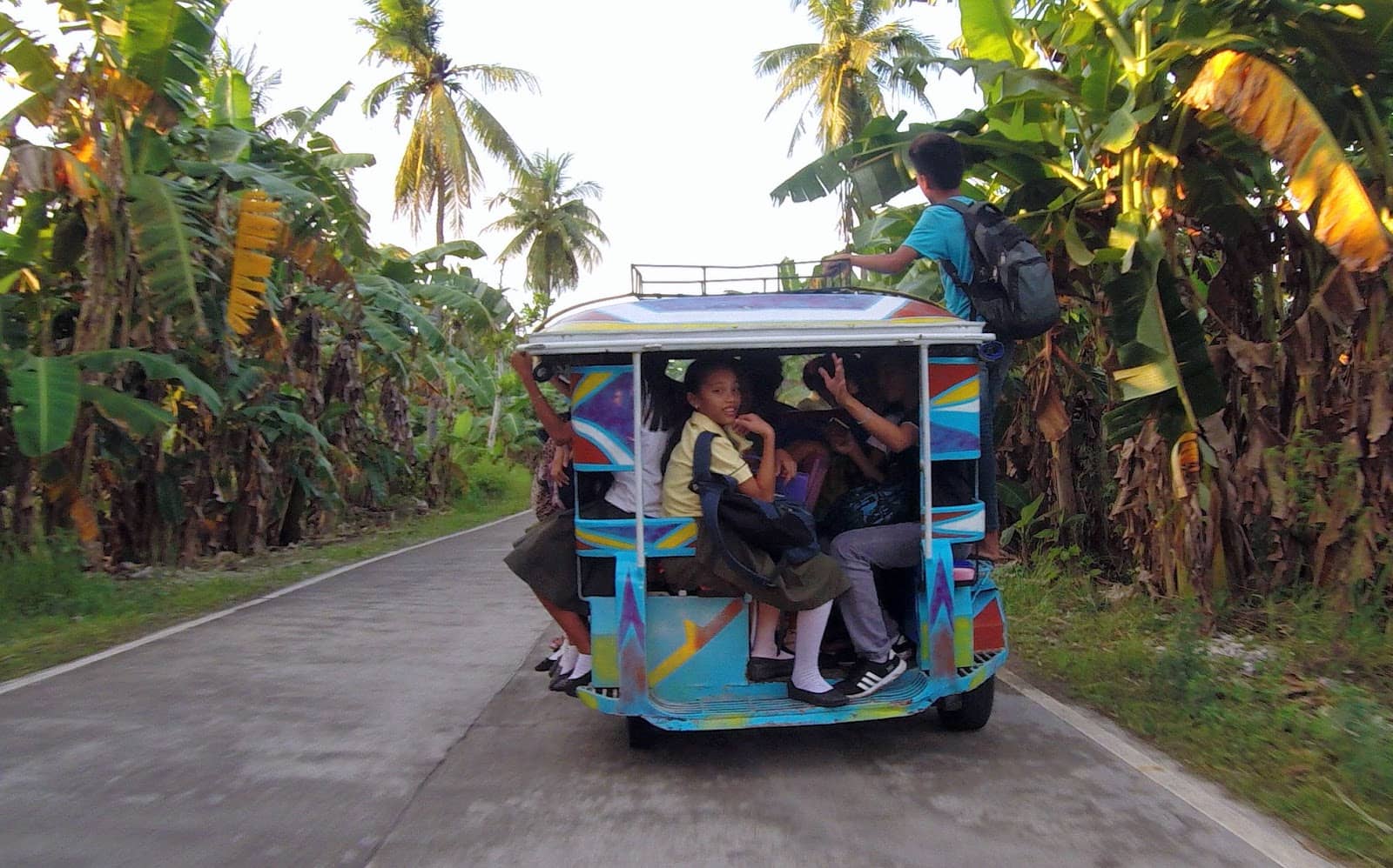 Sea Turtle Encounters