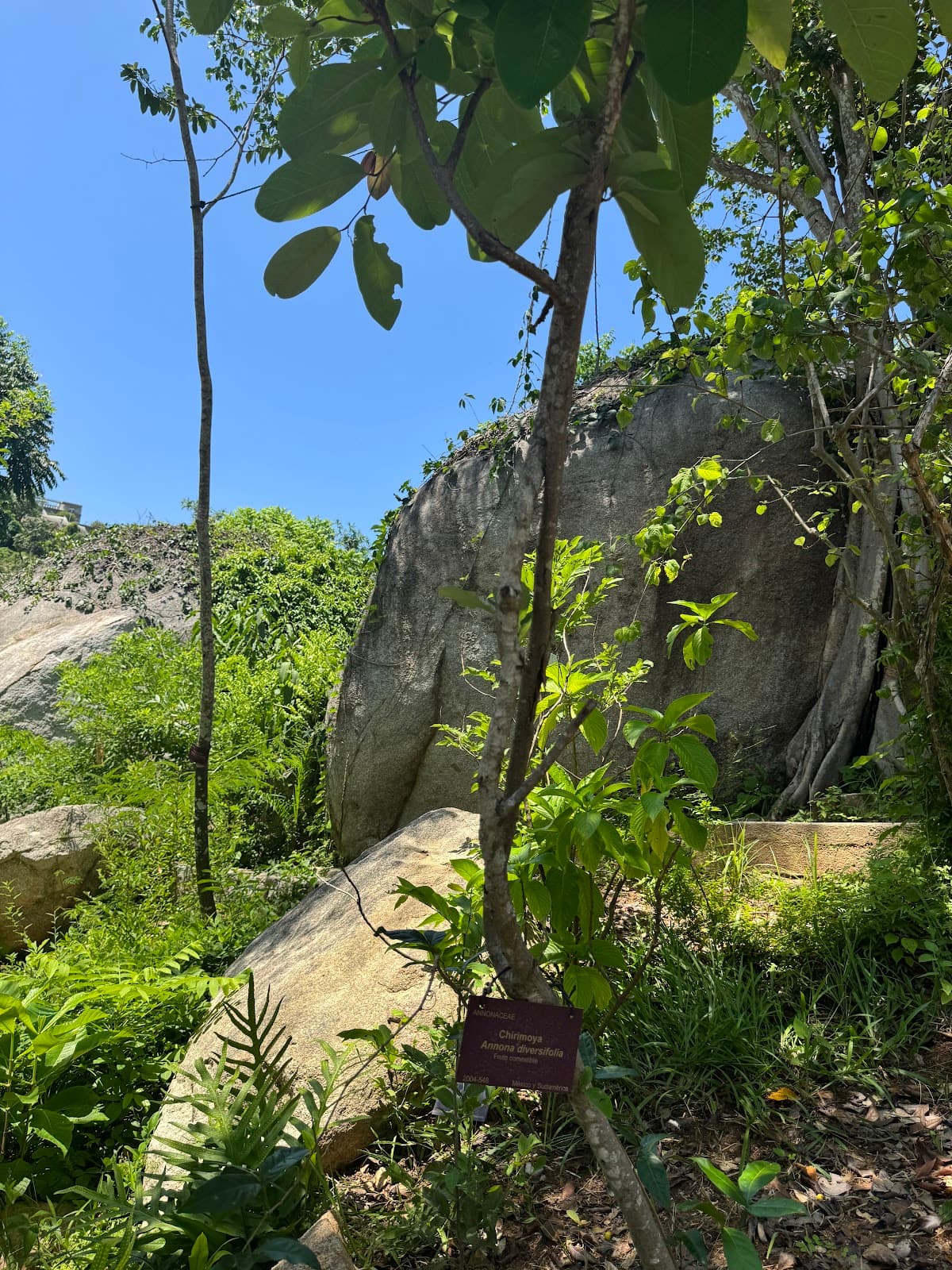 Jardín Botánico Acapulco - Image 1