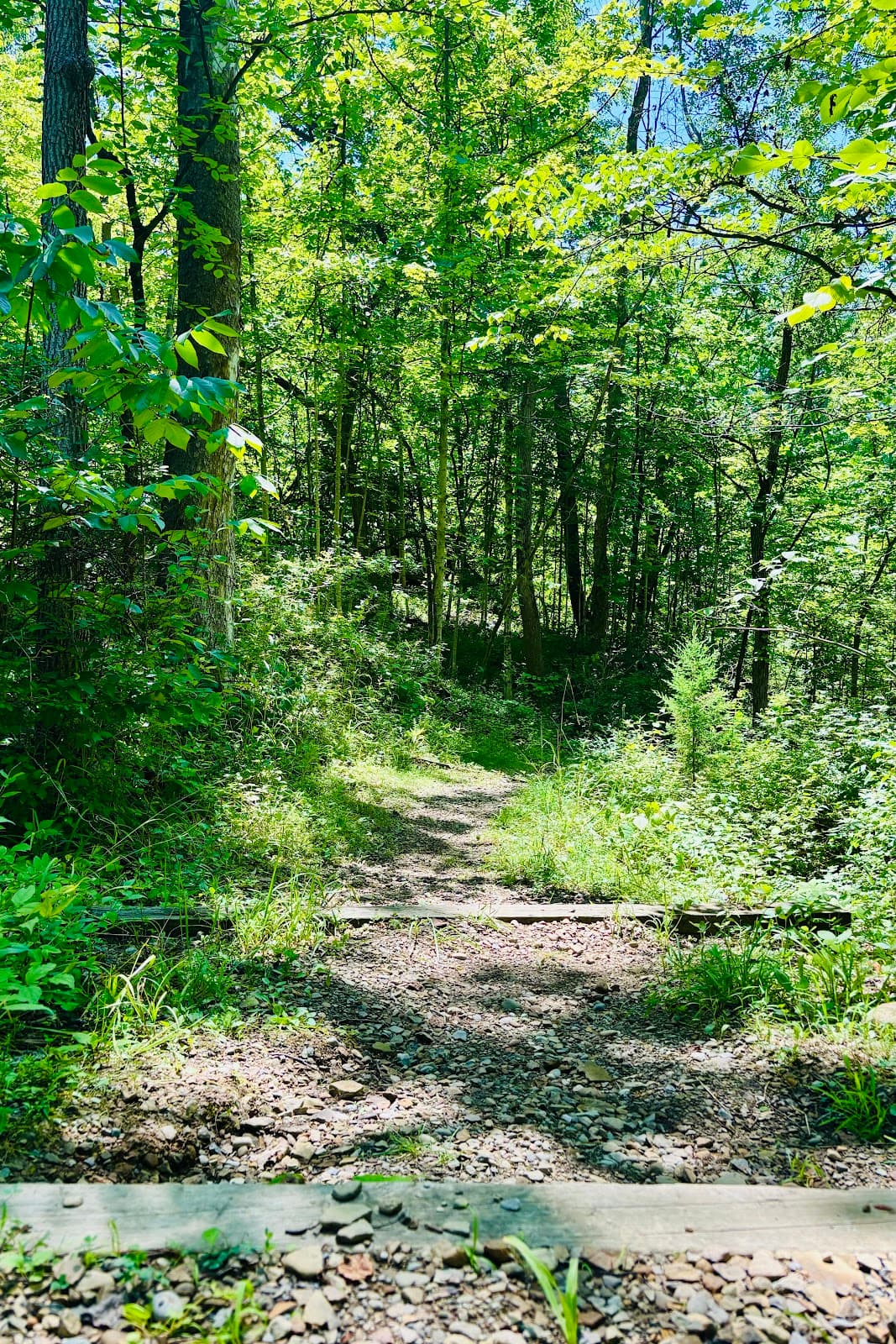 Letha House Park & Observatory - Image 1
