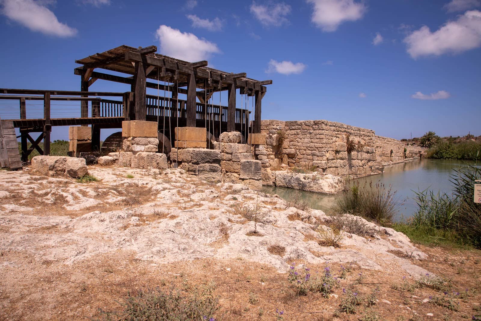 Archaeological Findings