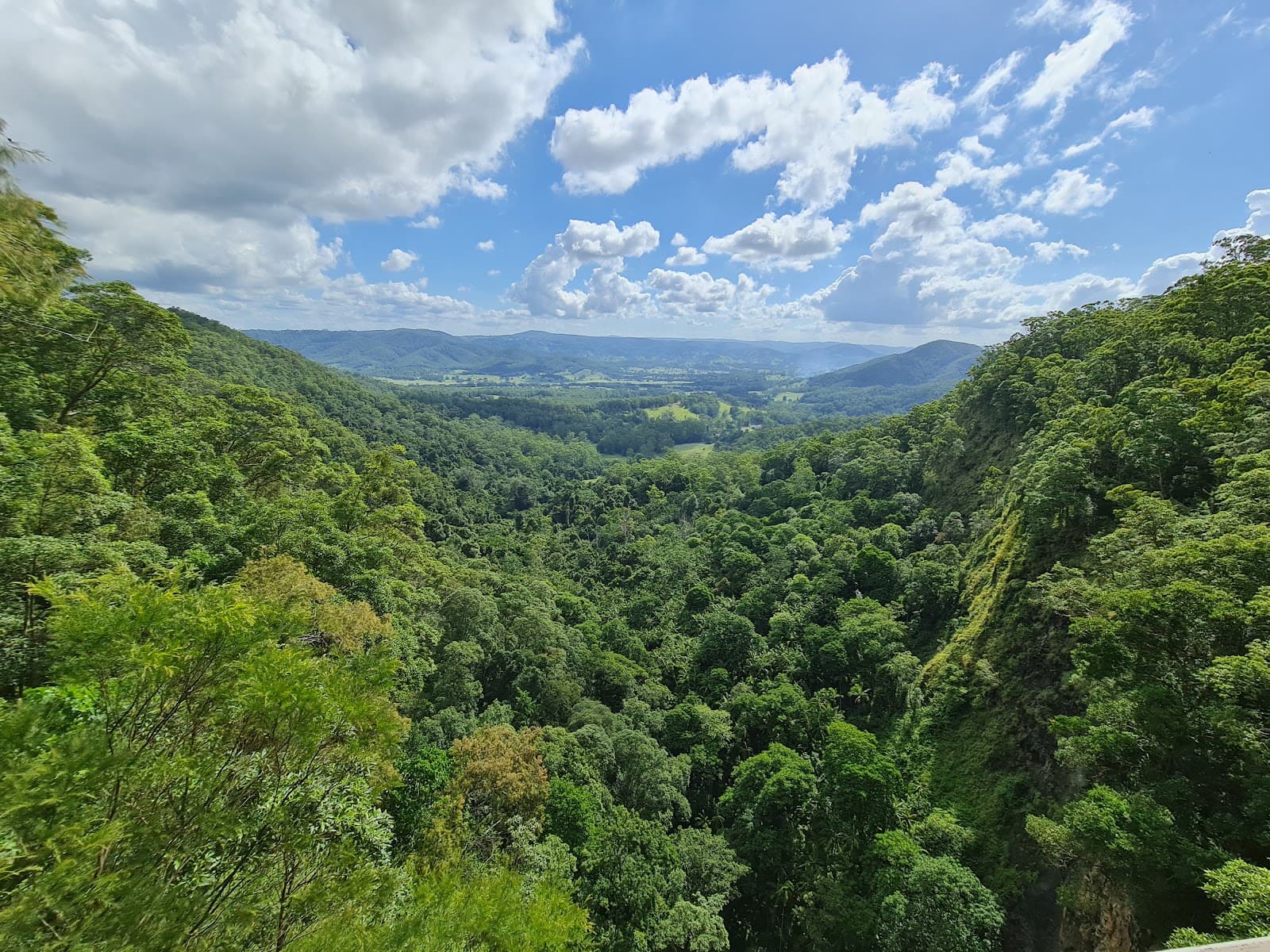Mapleton Falls Lookout - Image 1