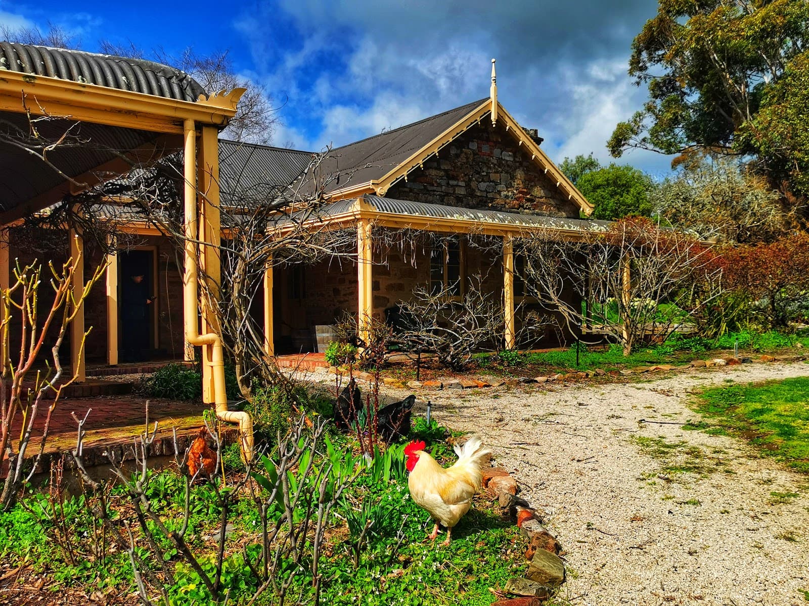 Sevenhill Forest - Image 1