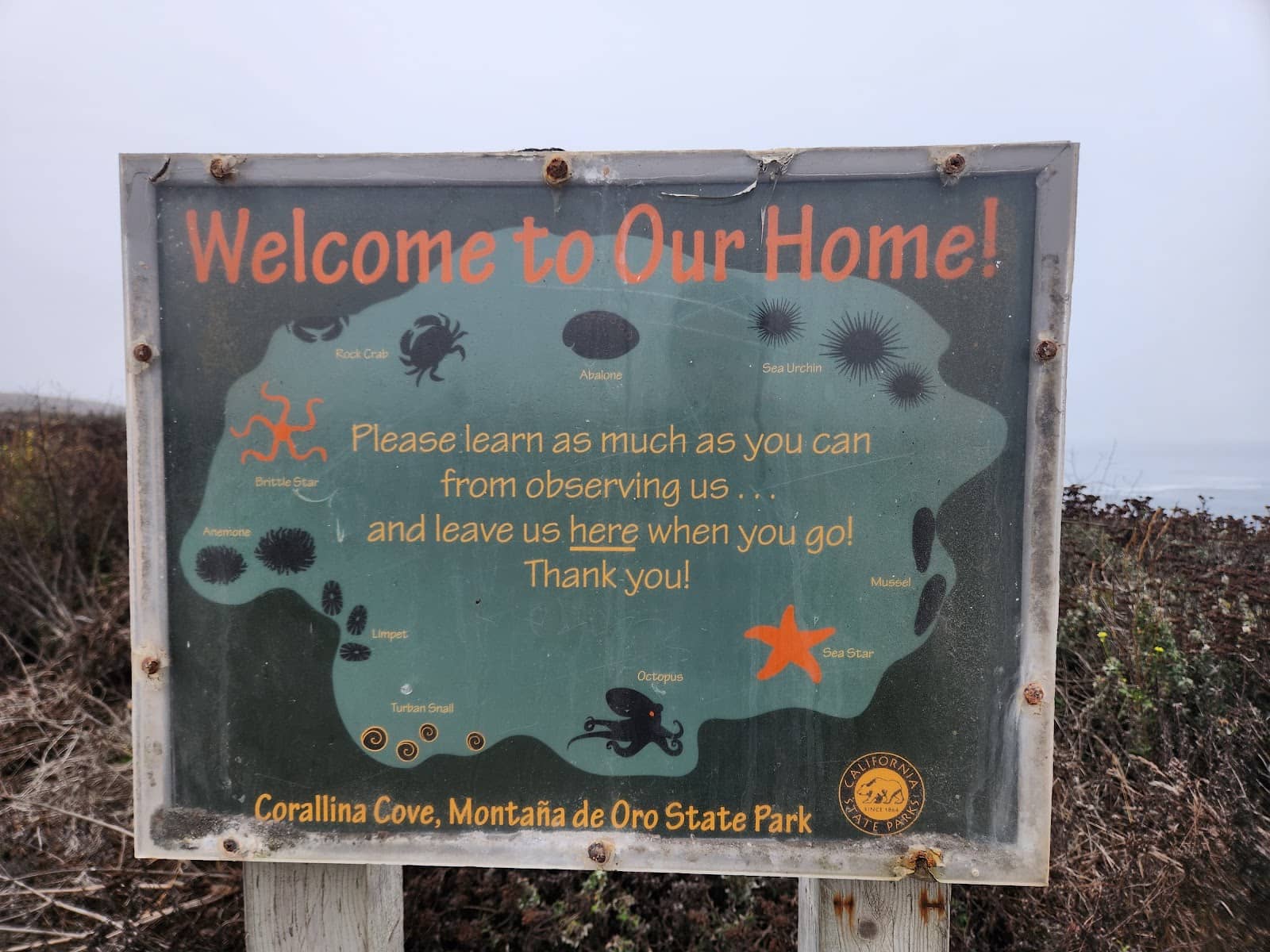 Corallina Cove Tide Pools