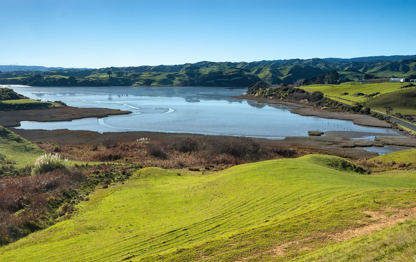 Aotea Harbour - Image 1