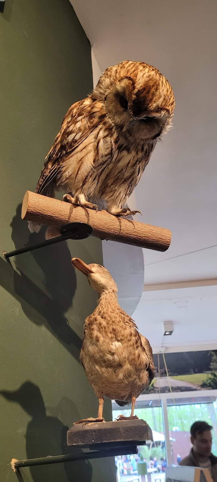Vertical photo