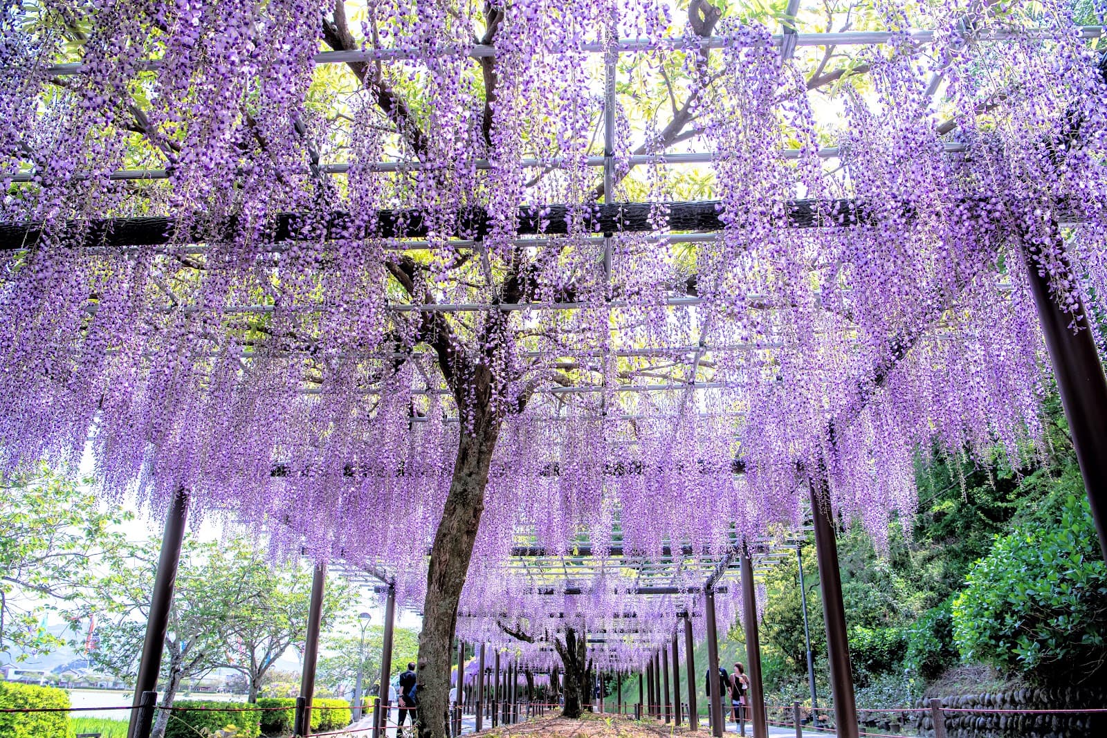 Rengejiike Park - Image 1