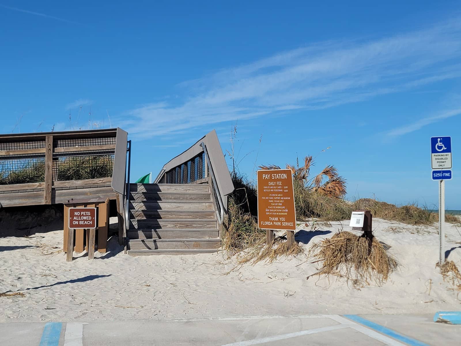 Coastal Flora & Fauna