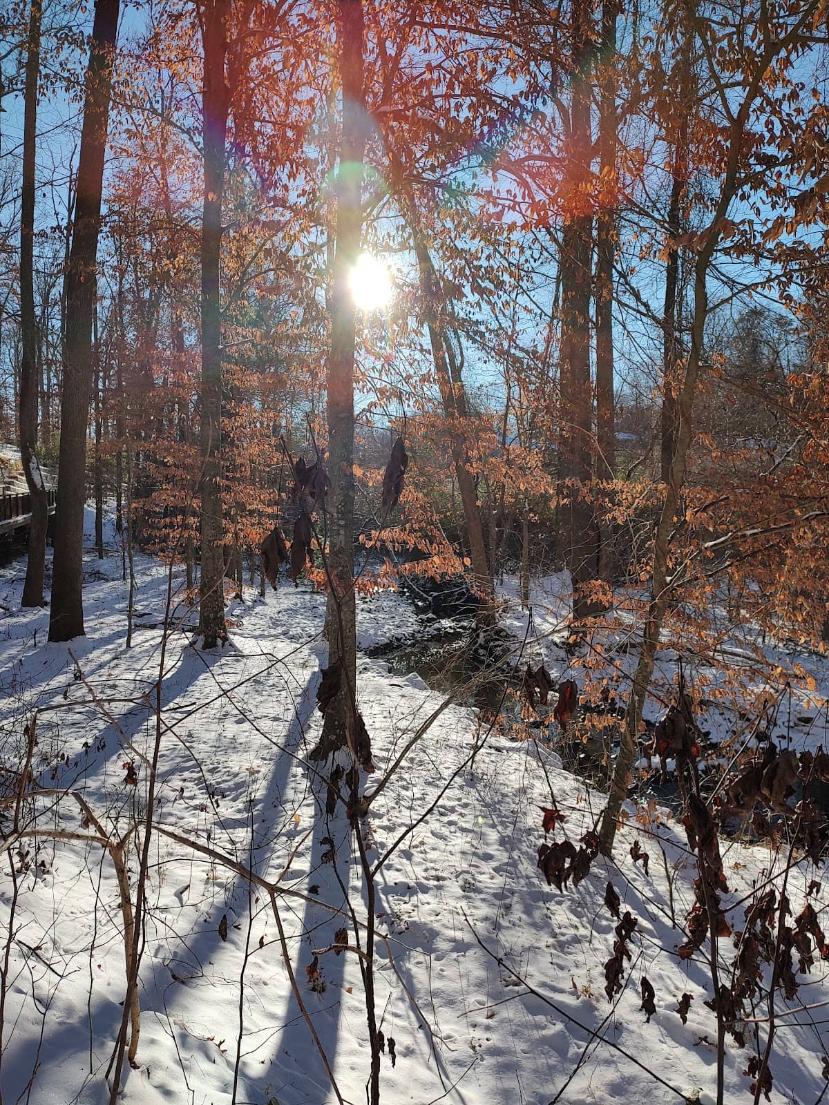 Scenic Nature Views
