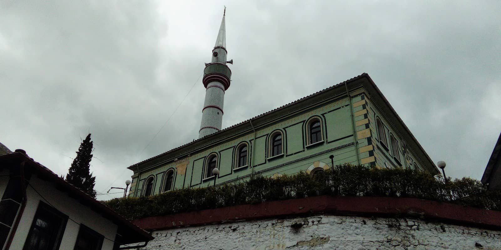 Vertical photo