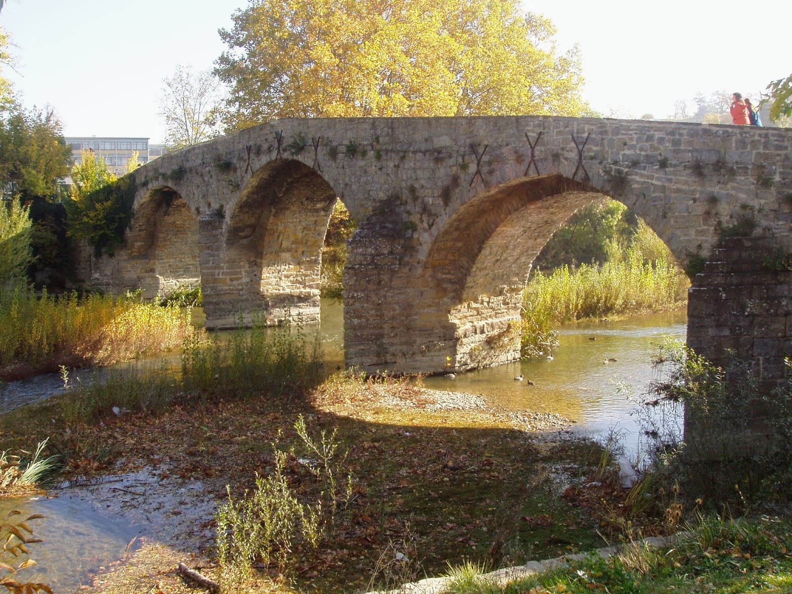 San Pedro Bridge - Image 1