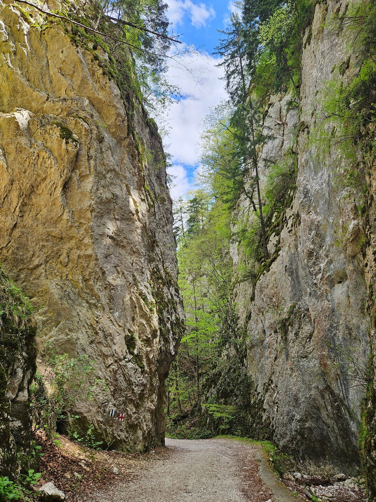 Zărnești Gorge - Image 1