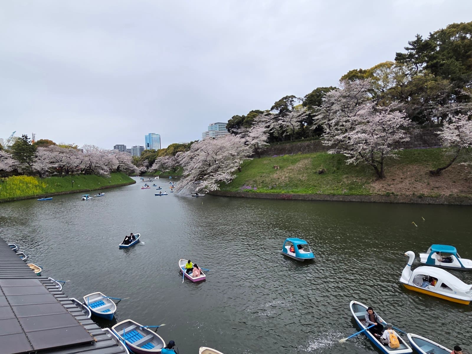 Chidorigafuchi Boat Pier - Image 1