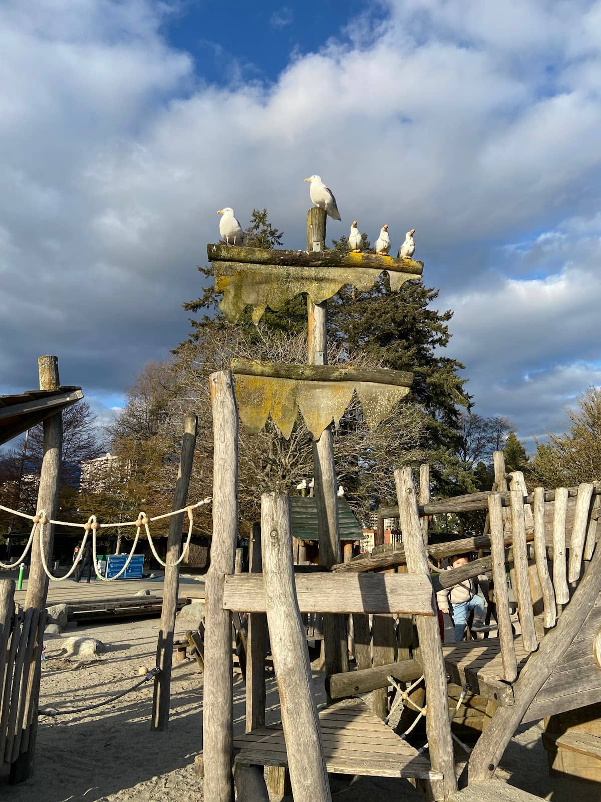 Vertical photo