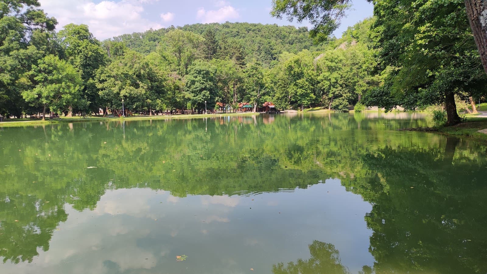 Felsőtárkány Lake and Forest Railway - Image 1