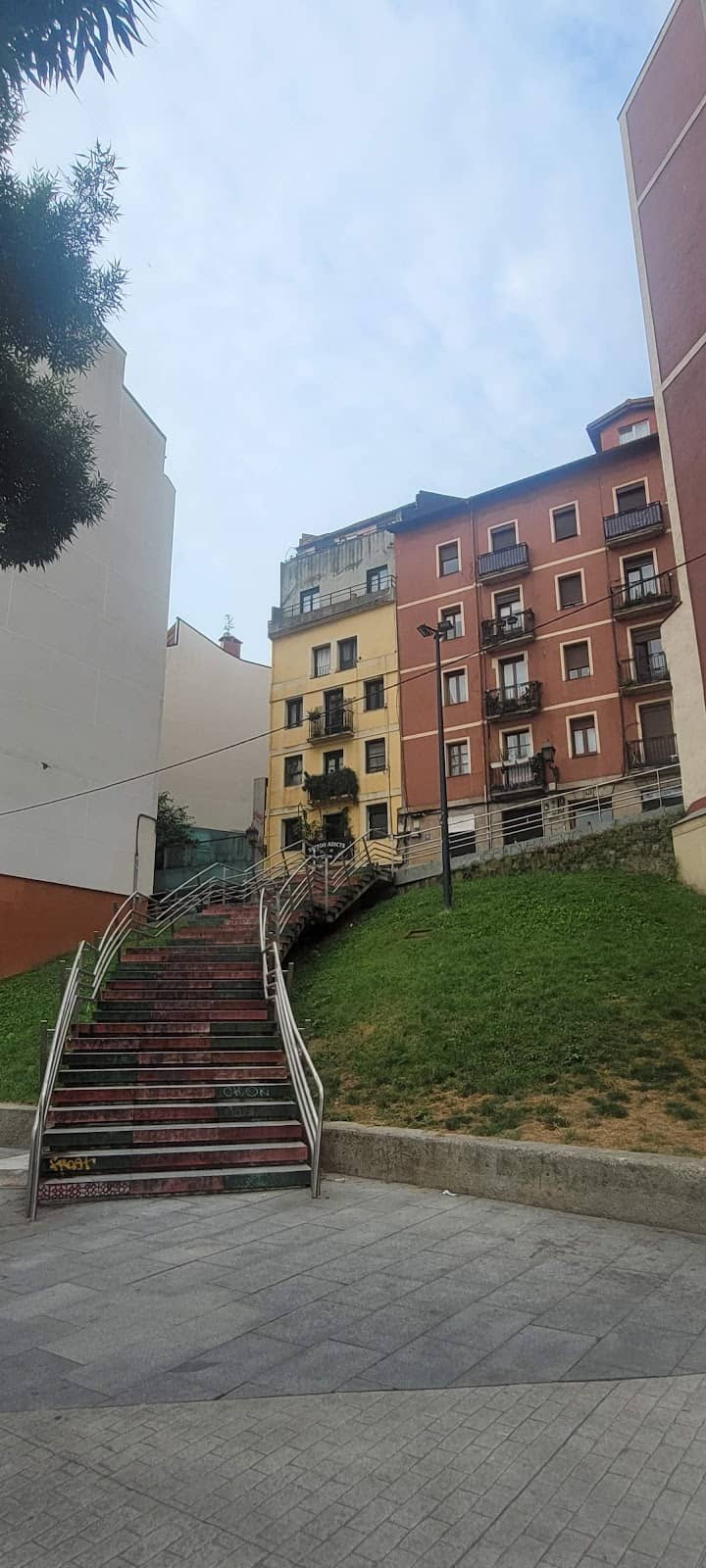 Vertical photo
