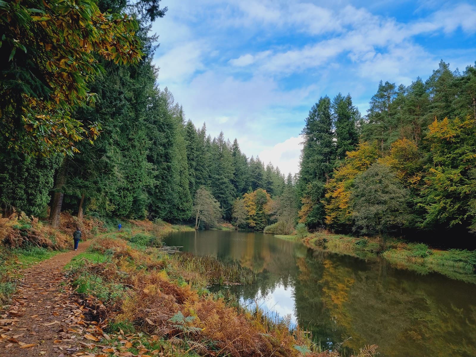 Soudley Ponds - Image 1
