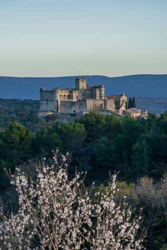 Castle Architecture & History