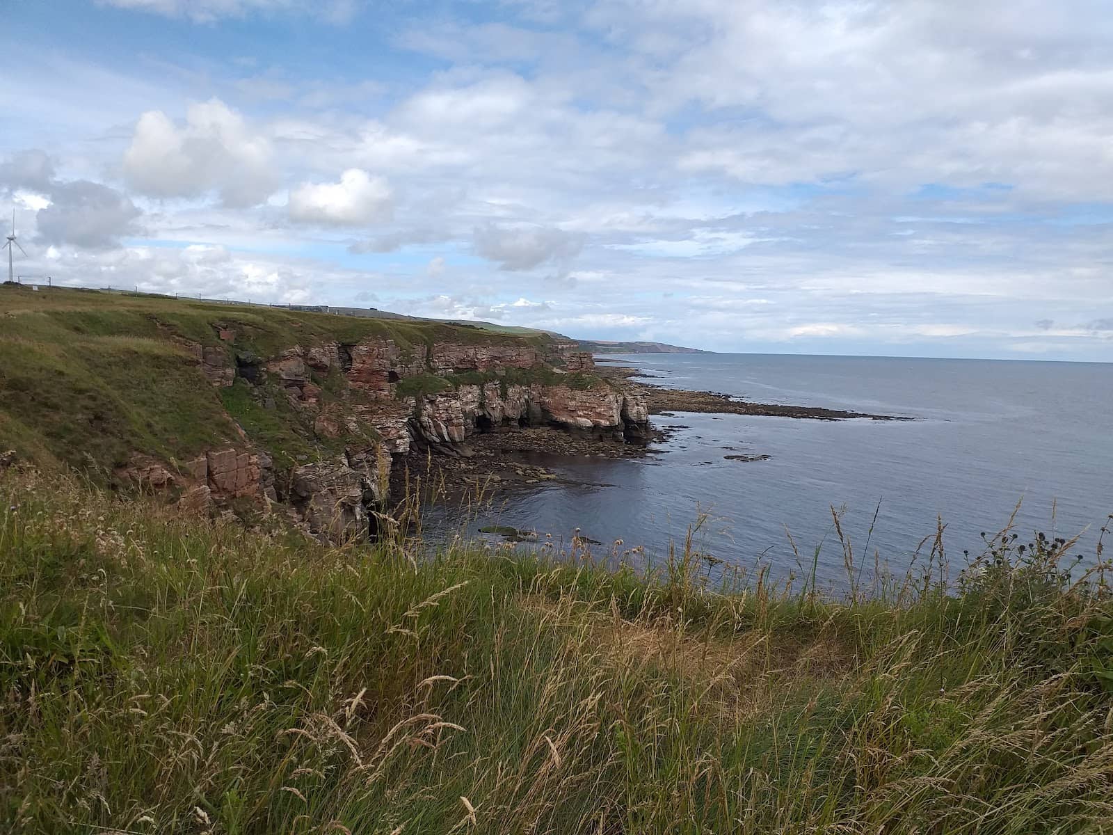 St Abbs Head National Nature Reserve