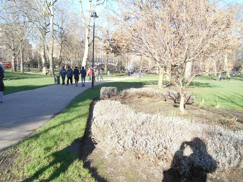 Bloomsbury's Literary Charm