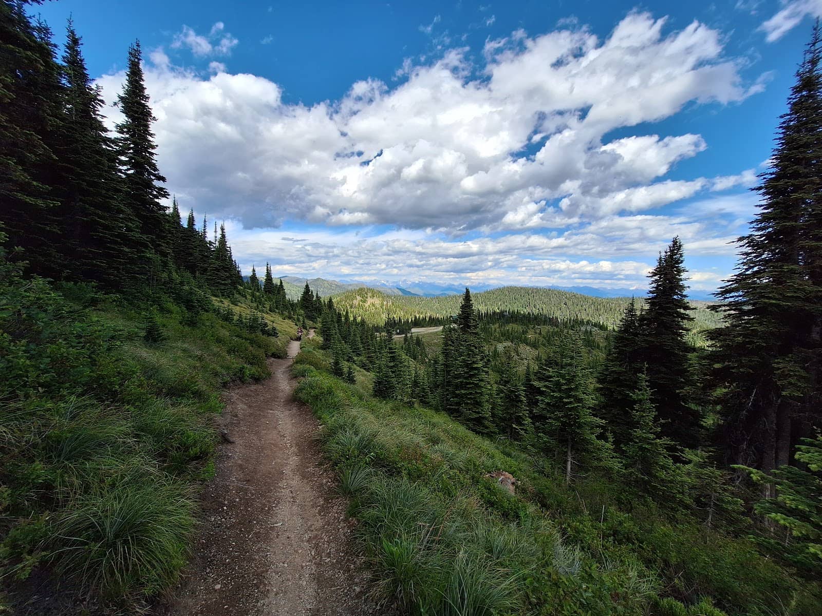 Summit Views & Dining