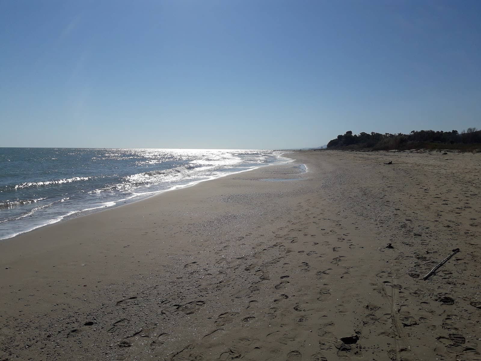 Potential Wildlife Sightings