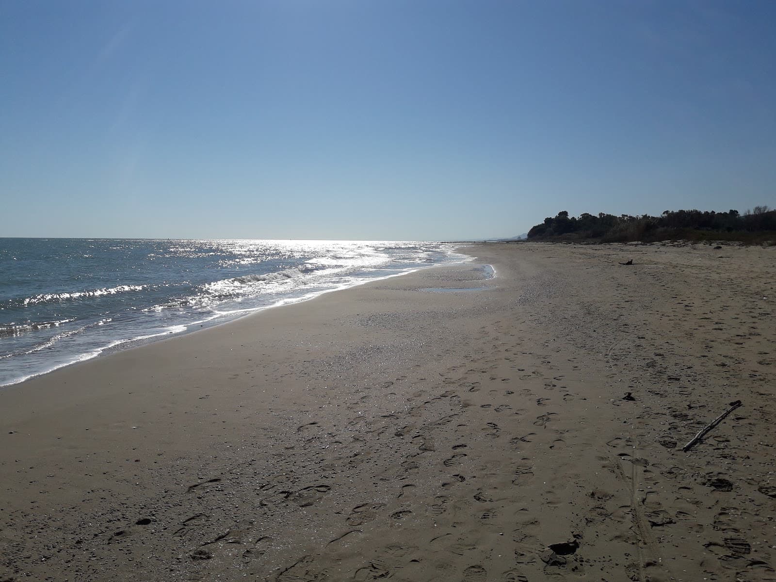 Riserva Naturale del Borsacchio (day trip) - Image 1