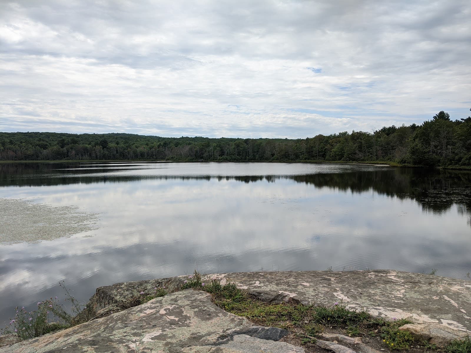 Harlow Lake Recreation Area - Image 1