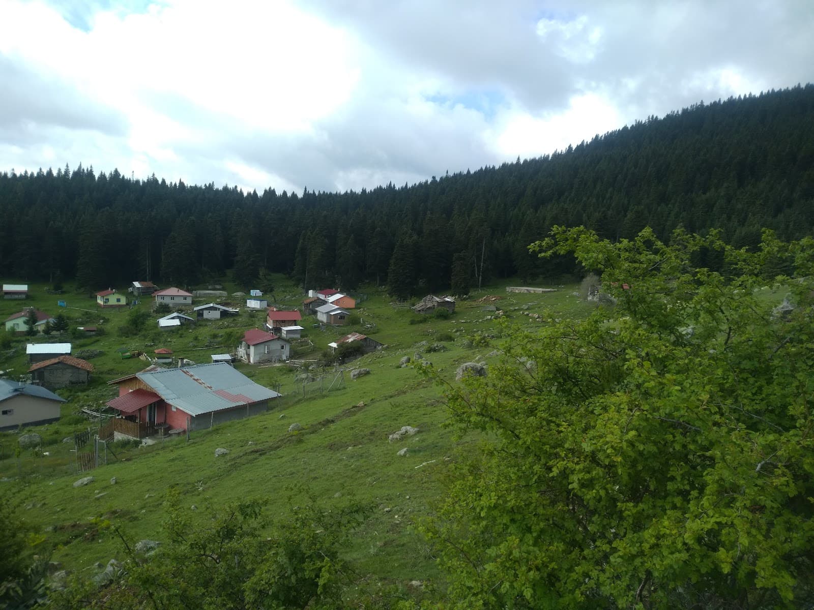 Dörtdivan Highlands (Dörtdivan Yaylaları) - Image 1