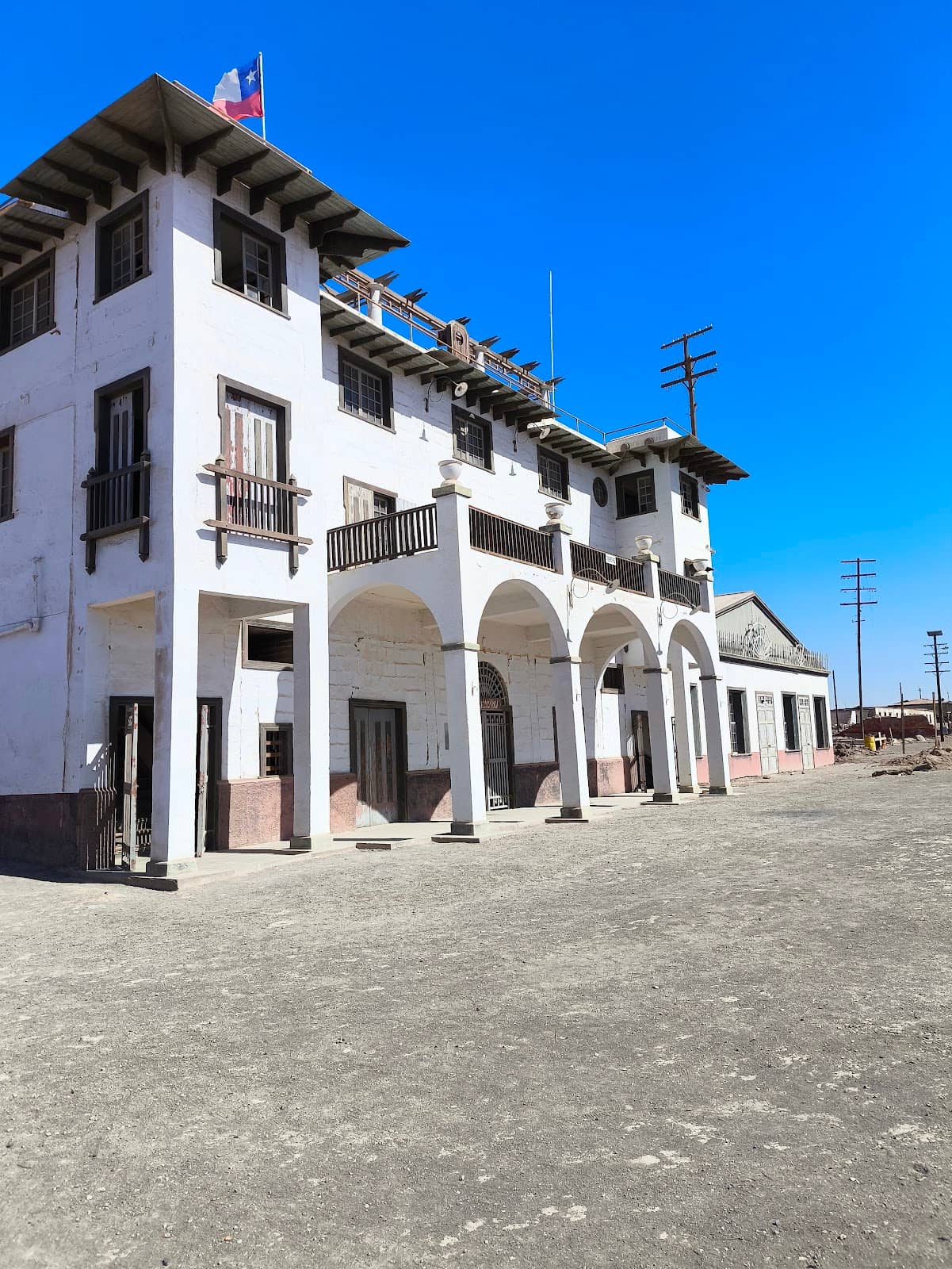 The Resident Dog, Bingo