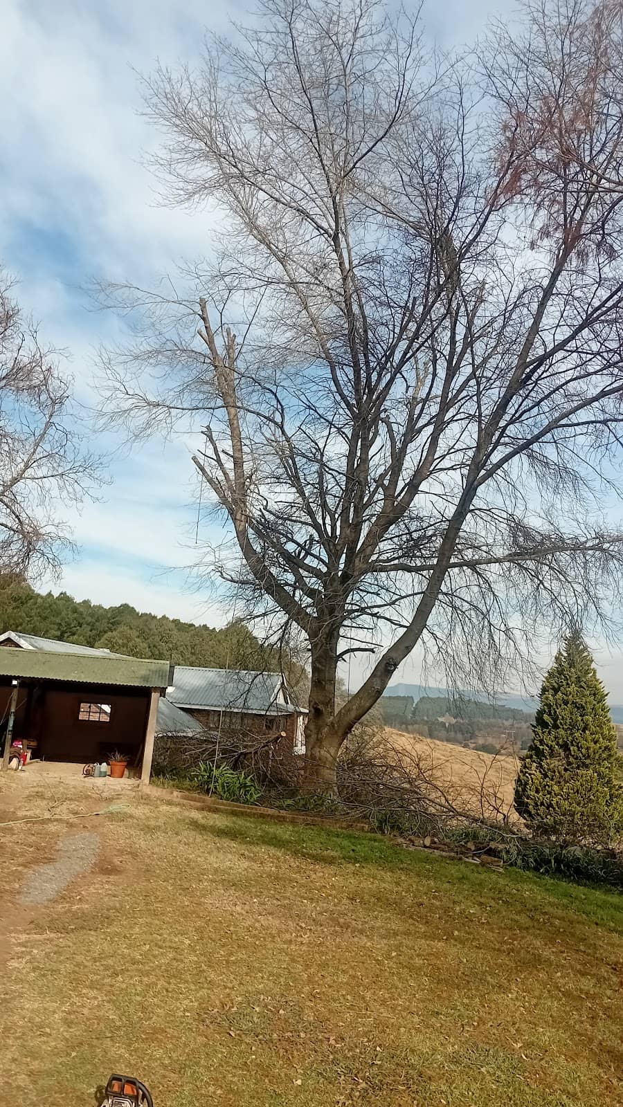 Vertical photo