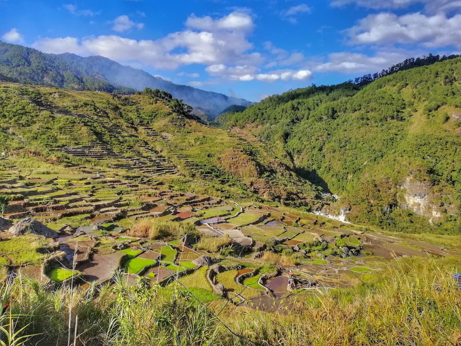 Fidelisan Rice Terraces - Image 1