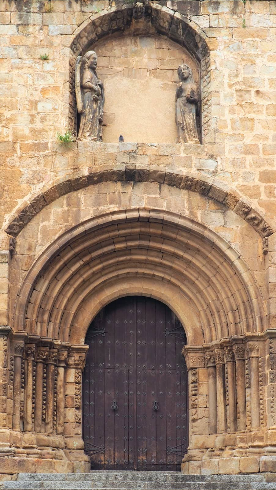 Vertical photo