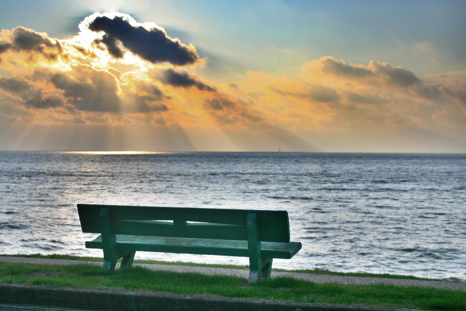 Local Cafes and Bistros