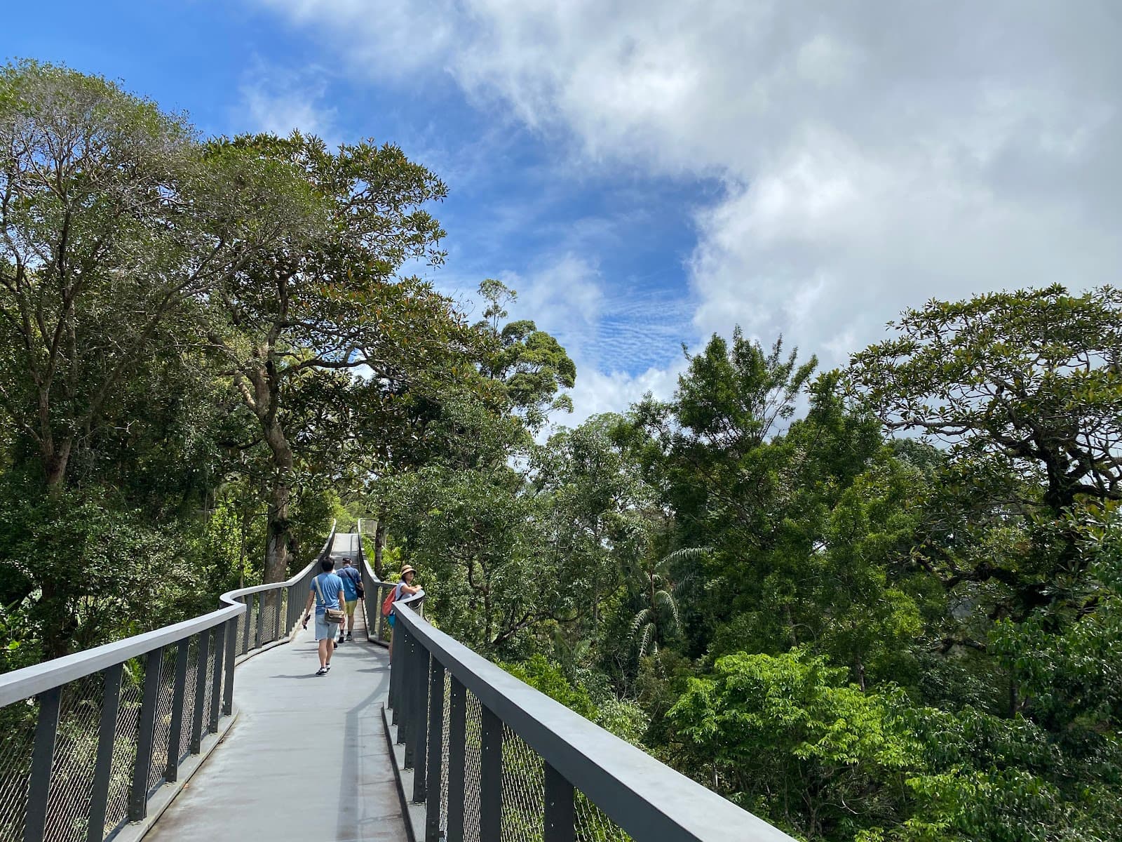 Teluk Bahang Canopy Walkway - Image 1