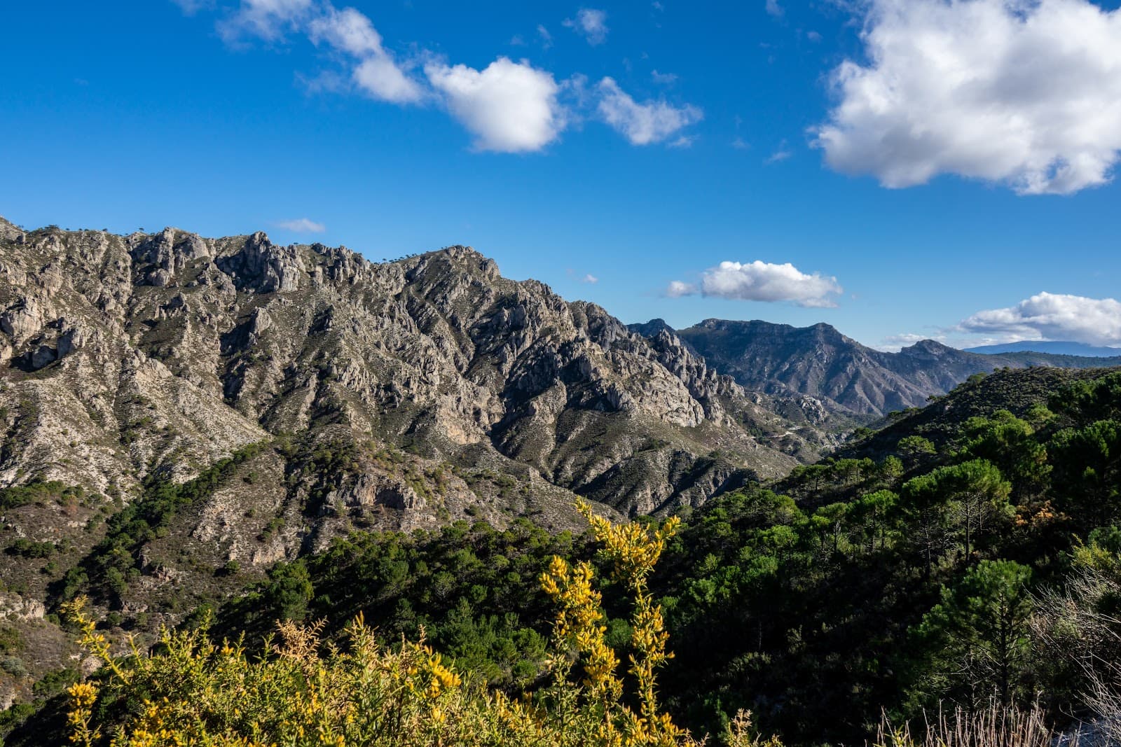 Sierras de Tejeda Almijara y Alhama Natural Park - Image 1