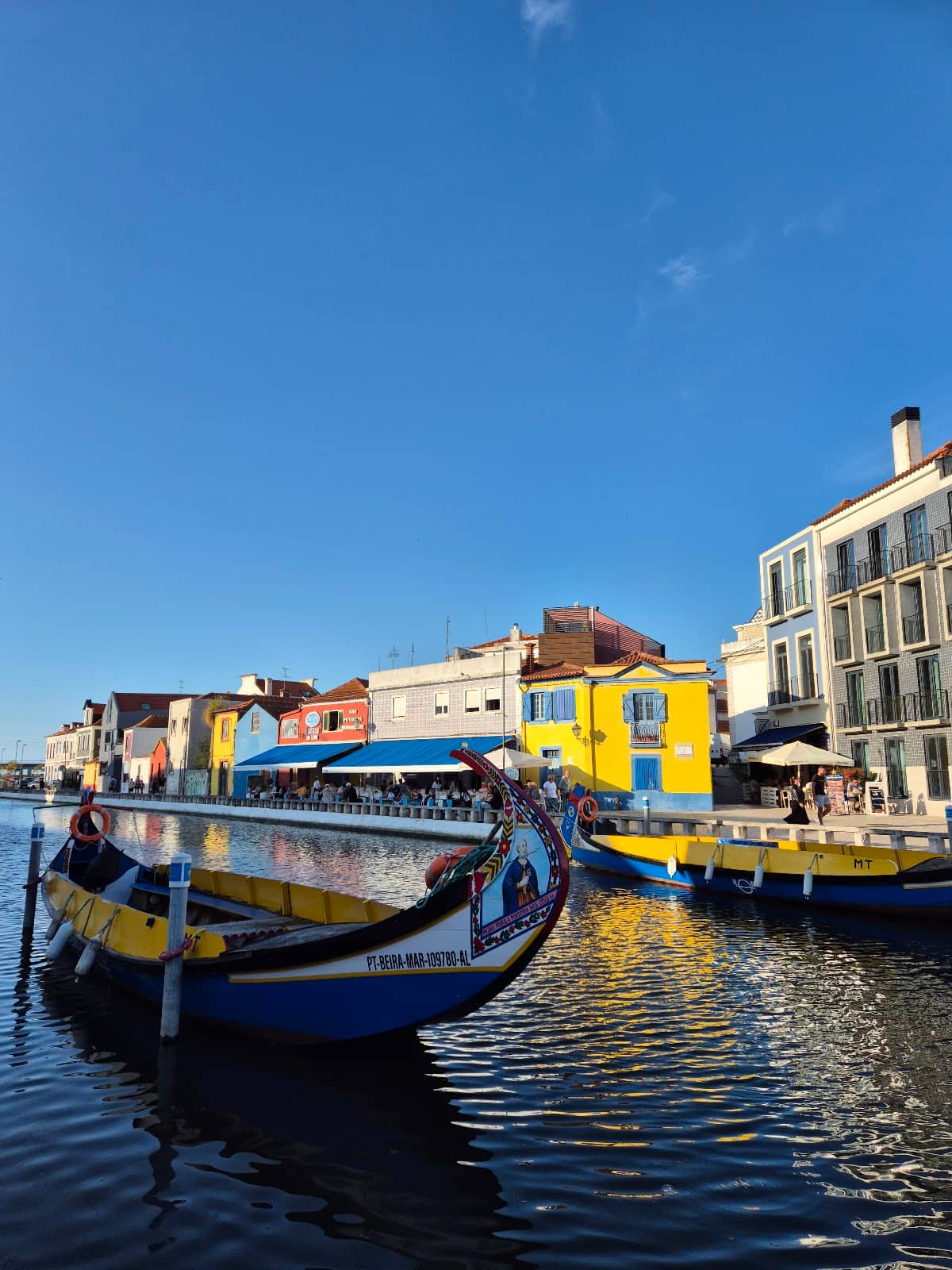 Fishing Culture Insights